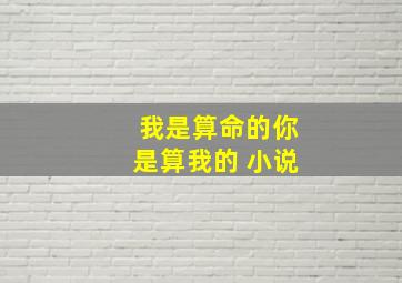 我是算命的你是算我的 小说